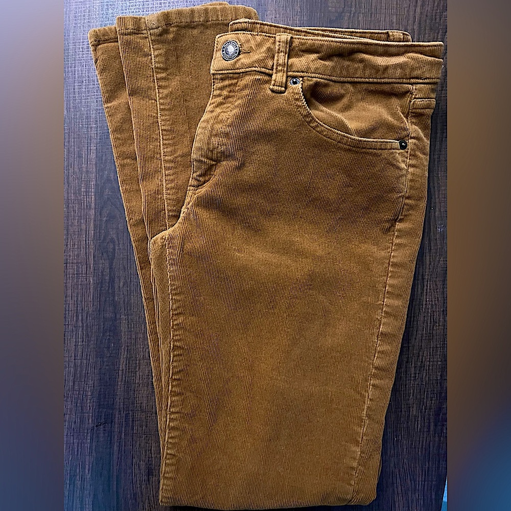 ✨Size 29 tan/khaki PATAGONIA corduroy pants
In GREAT condition💕